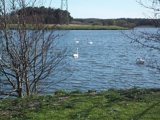 Queen Elizabeth II Country Park
